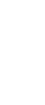 2 Vector